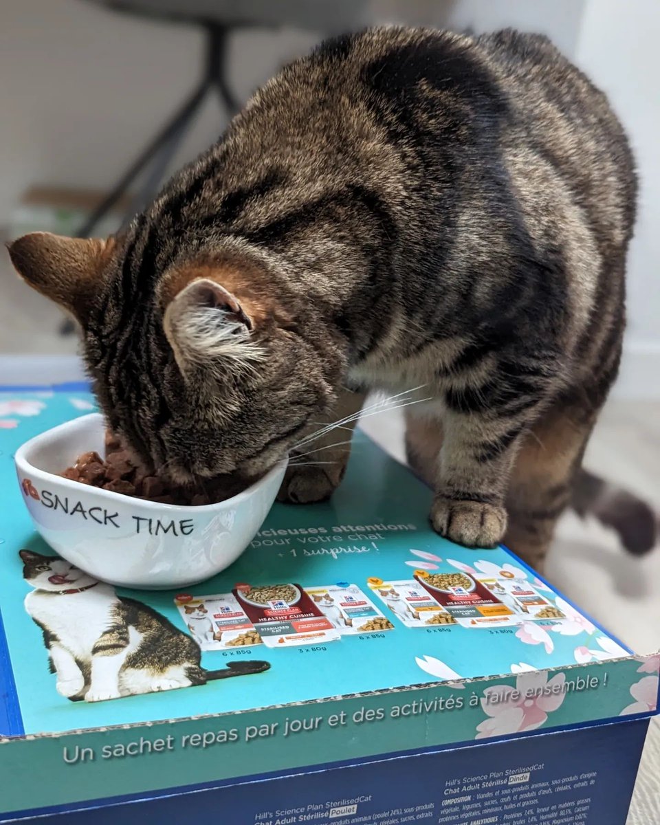 petale2roz's tweet photo. Mon retour sur la Fresh Box @HillsPet : https://t.co/J3Lo9PULzU #HillsFreshBox #HillsLeMatouLePlusFrais #HillsTransformingLives https://t.co/y8YhtrFcSm