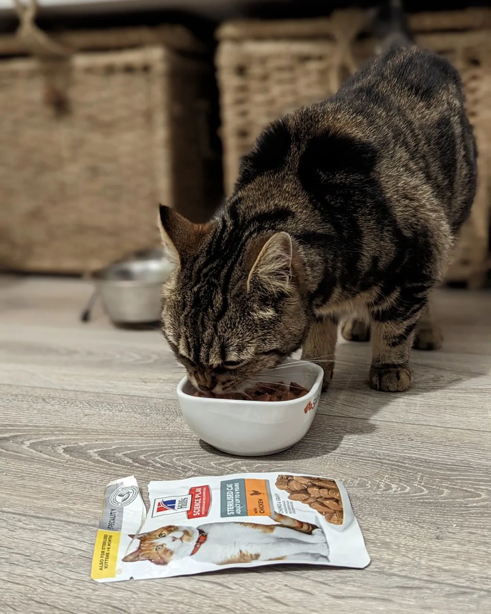 petale2roz's tweet photo. Mon retour sur la Fresh Box @HillsPet : https://t.co/J3Lo9PULzU #HillsFreshBox #HillsLeMatouLePlusFrais #HillsTransformingLives https://t.co/y8YhtrFcSm