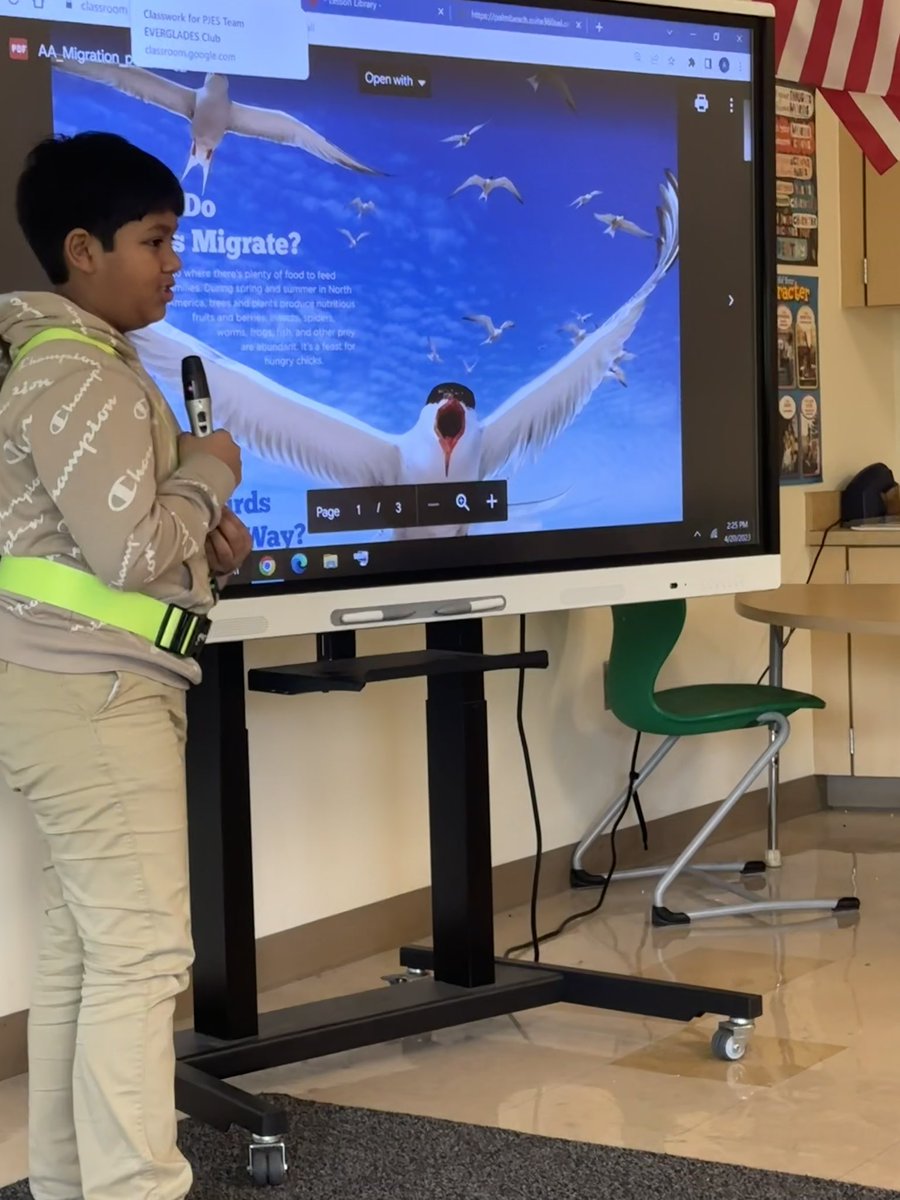 PJESCounseling's tweet photo. Happy #WorldMigratoryBirdDay2023 from @PineJogES Team Everglades club❣️ We have been learning about the many challenges birds face every day but especially during their fall and spring migrations with the help of the @audubonsociety &amp; @CornellBirds https://t.co/kTNJVHE4aa