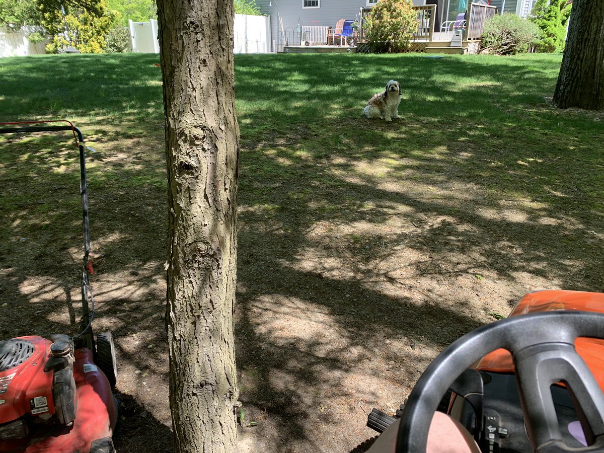 KP24Crazed's tweet photo. Another summer season and plenty of #ballroomthieves to listen to while cutting the lawn!!! New music from the new @ballroomthieves tour in my head!! #theshire #thewordbarn https://t.co/yUonxMPX3r