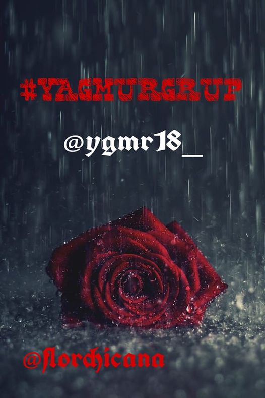 .🌧
𝐘☔<a href="/ygmr18_/">yağmur</a>
𝐀<a href="/BlueChern/">Blue A Chern</a>
𝗚̆<a href="/gssslm/">💛İzmir❤Salim💛</a>
𝐌@emrh390
𝐔 🌸
𝐑 🌱<a href="/_Glen72/">Gülen</a>
𝐆<a href="/idrss_/">İdris ama Koçovalı Değil</a>
𝐑<a href="/krnfil486/">Metehan</a>
𝐔<a href="/Orhn_02/">Orhan</a>
𝐏<a href="/bytk216/">nurullah</a>
<a href="/Krklm/">𝓗𝓪𝓴𝓪𝓷</a>
<a href="/Muratqy/">𝙼𝚞𝚛𝚊𝚝 𝚈ü𝚔𝚜𝚎𝚕</a>
<a href="/1yigidimaslanim/">🇹🇷Y İ Ğ İ T🇹🇷</a>
<a href="/ercankusoglu/">Ercan Kuşoğlu.</a>
<a href="/LivingTodayEver/">İLiveYou💪🇦🇿❤️🇹🇷♂️🔥 Motivated/Sporty🔥💪</a>
<a href="/Ebruualn/">Ebru</a>
@pkr0m
<a href="/farid10ahmadli/">Farid Ahmadli</a>
<a href="/emreakan4/">Emre Akan</a>
@TrueL0v1
<a href="/florchicana/">Selene  𝕏🖤Perfectly imperfect 🖤❌DM❌</a>
@askhtn03
<a href="/McQAtt/">DMcQ</a>
<a href="/BaKIMLIKuRT/">☾☆ IV. SeLiM ☆☽</a>