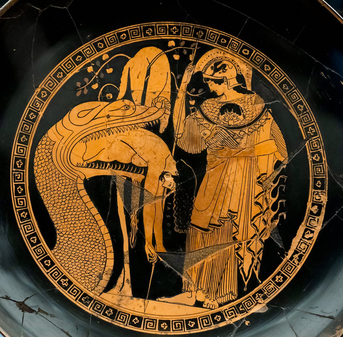 This felt like a celebrity sighting for me at #vaticanmuseums: 5th c. bce kylix with Jason having difficulties with a dragon while trying for the golden fleece (pictured). Love Athena's rescue of him, with owl in hand, & special sphynx helmet.  Her aegis is looking extra snakey.
