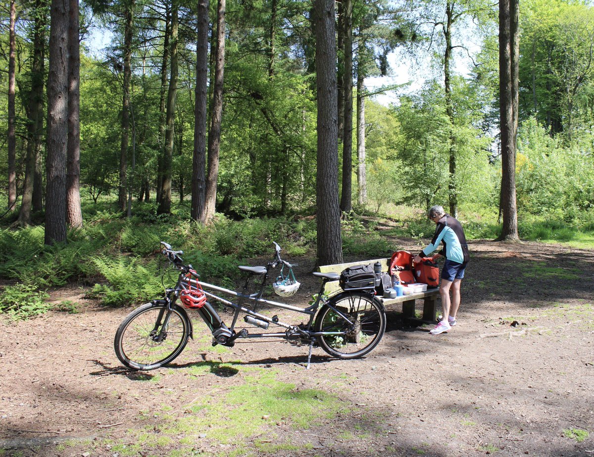 Martin Hey tweet media