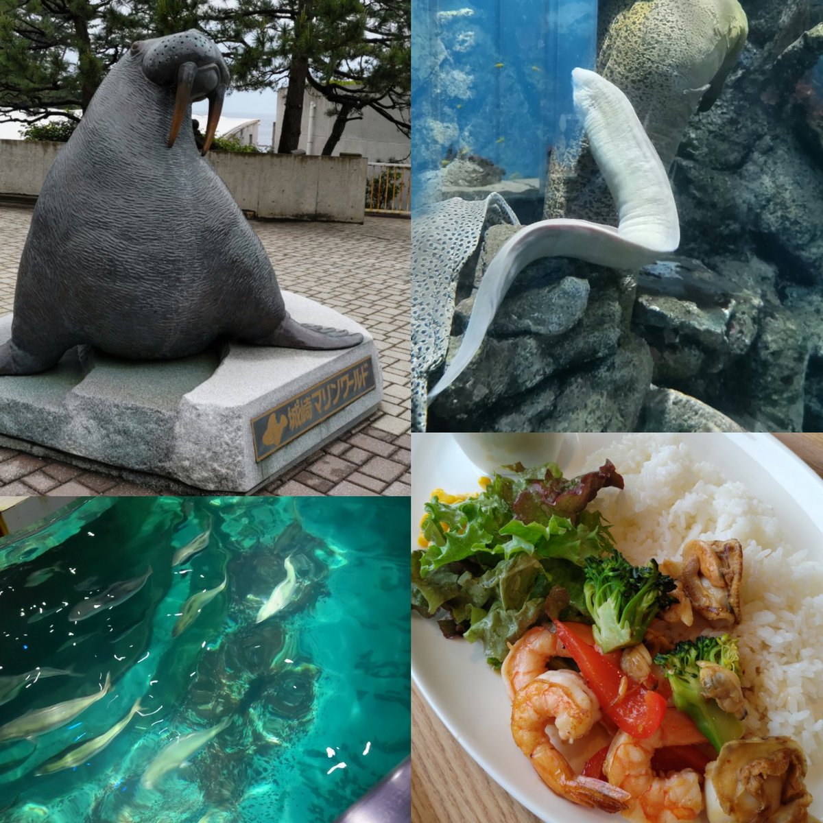 tomtomkam's tweet photo. 3日間遊び倒れの食い倒れで楽しかったー!また仕事頑張ろ(;・∀・)
#劇団四季
#オペラ座の怪人
#ザ・リッツ・カールトン大阪
#Asprey
#アフタヌーンティ
#湯村温泉
#荒湯
#夢千代館
#朝野家
#Cafe98℃
#城崎マリンワールド https://t.co/tbA4UFw3Cu