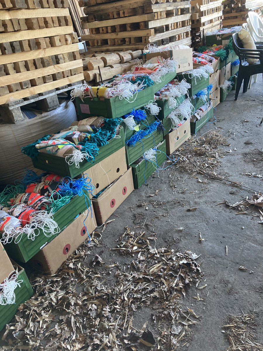 Jan Seton tweet media