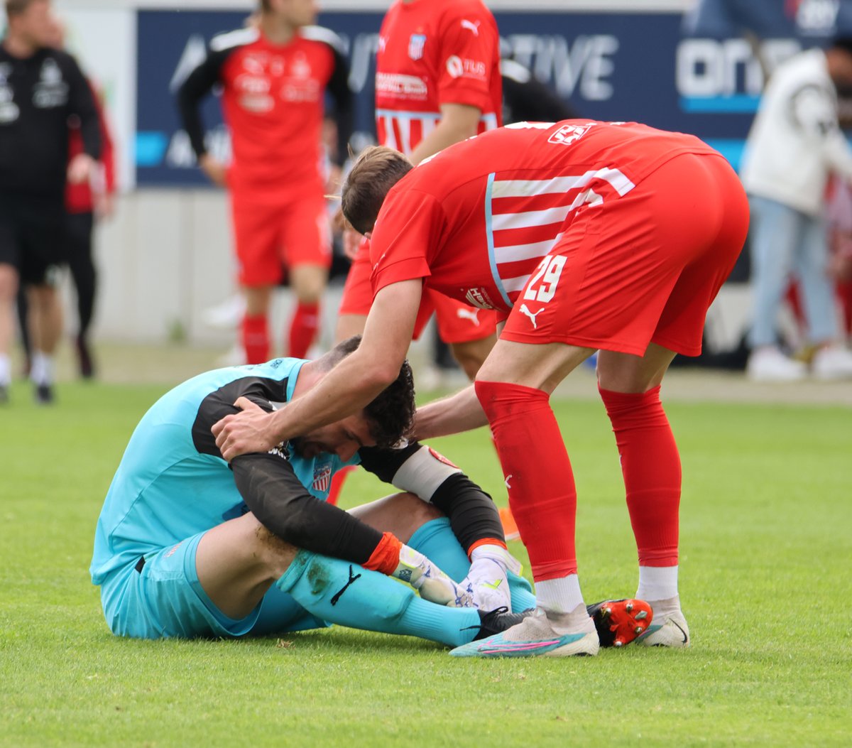 FSV Zwickau tweet media