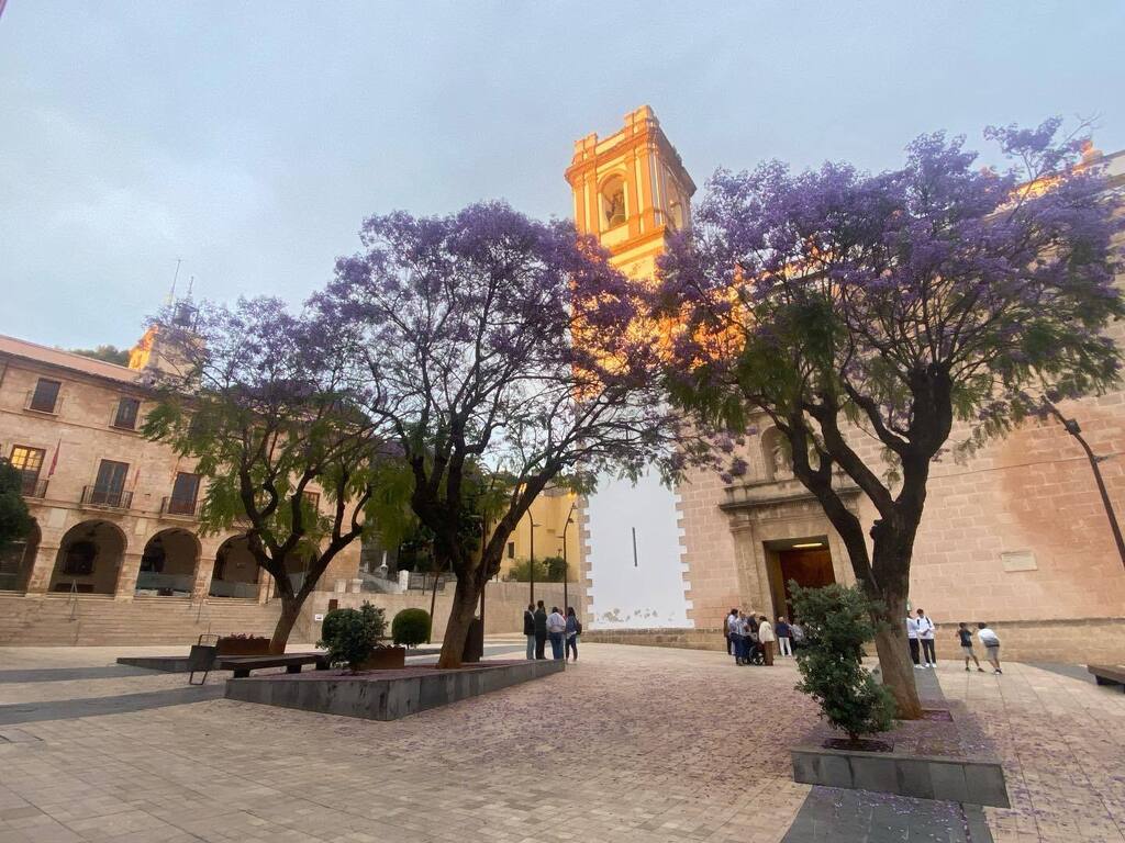 TheWordBirdSM's tweet photo. #denia 
#Jacaranda
#costablanca #church #parroquia #spring https://t.co/kihetDcD16 https://t.co/0YER7pJXCc