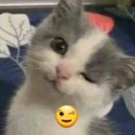 newt ✩ (@n3wtsglue) on Twitter photo 