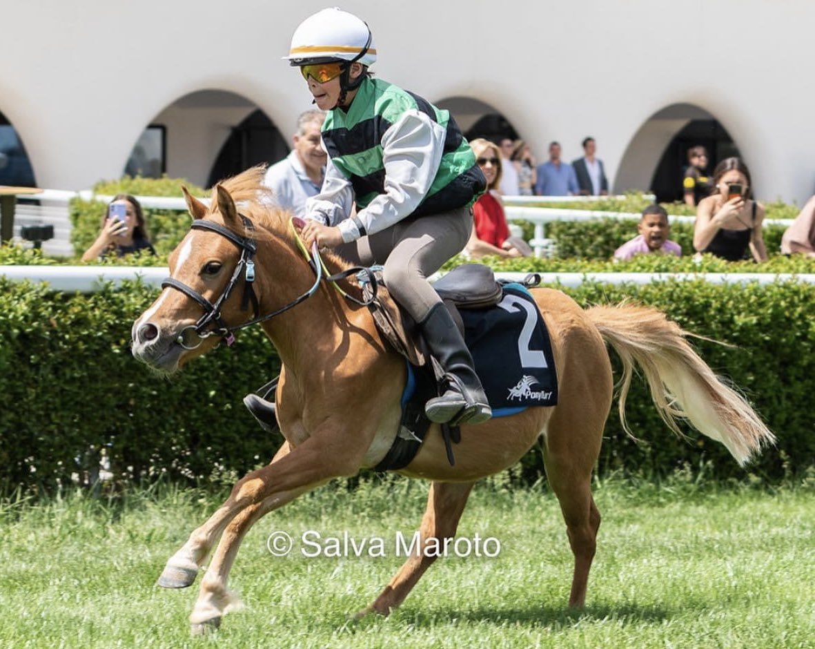 Ferdemente 🏇💚⚽️ tweet media