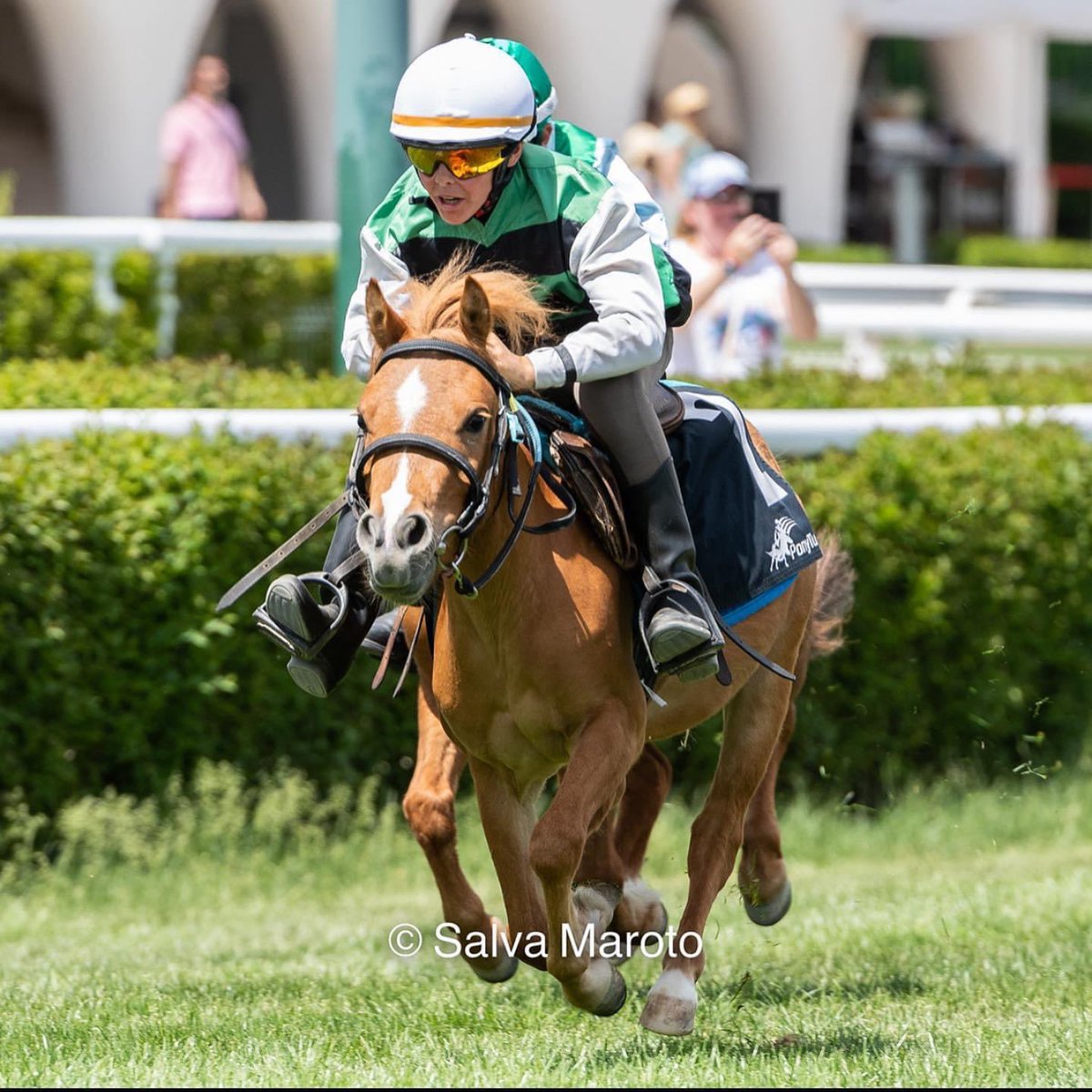 Ferdemente 🏇💚⚽️ tweet media