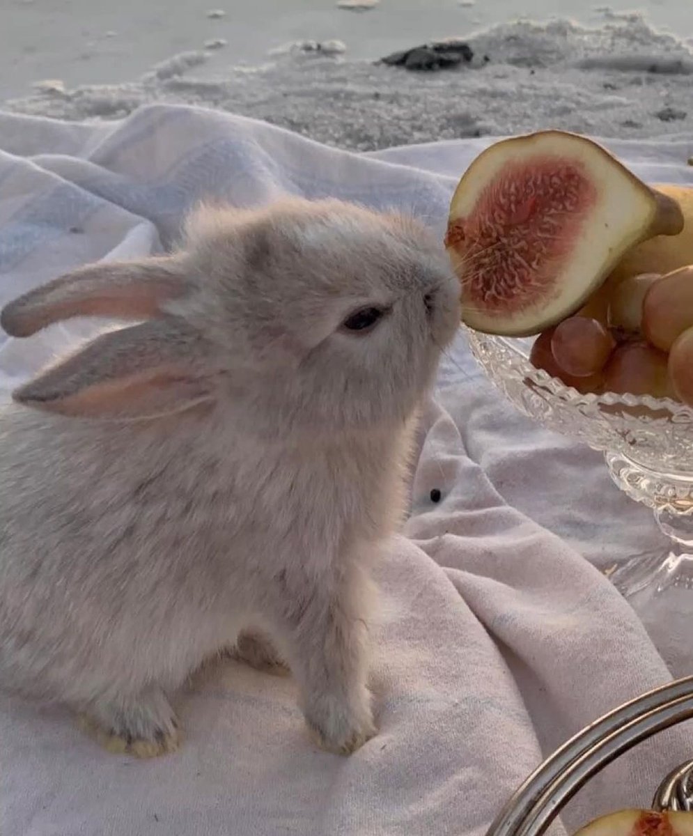 Curated Pieces tweet media