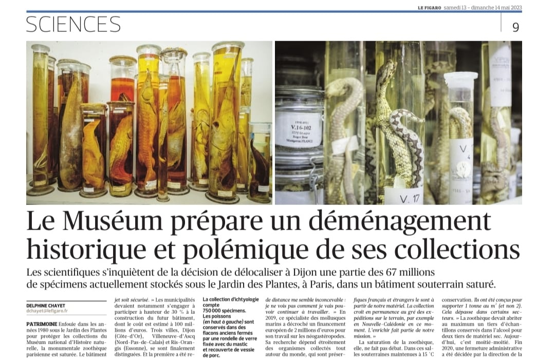 L'opposition au projet d'externalisation/déménagement à + de 3h du site parisien du Jardin des Plantes de plusieurs millions de spécimens des #collections du #Muséum se fait entendre dans la presse. Enquête de <a href="/DelChayet/">Delphine Chayet</a> dans <a href="/Le_Figaro/">Le Figaro</a> du jour. Rebondissements à prévoir...?