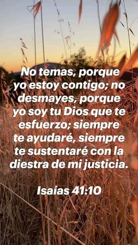 Buenas tardrs Jehóva nos bendiga y guarde grandemente hoy y siempre.Jesuscristo  Vive el resucito, Alaba al Rey de Reyes