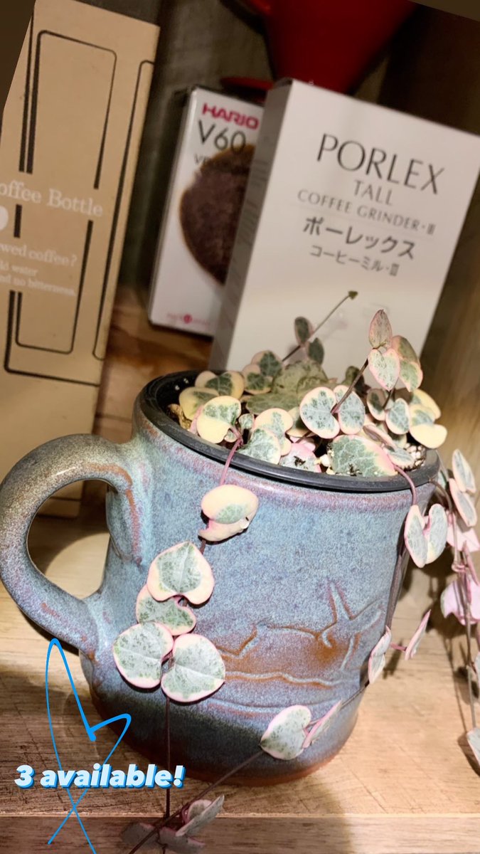 Perfect little Mother’s Day gifts. ❤️
