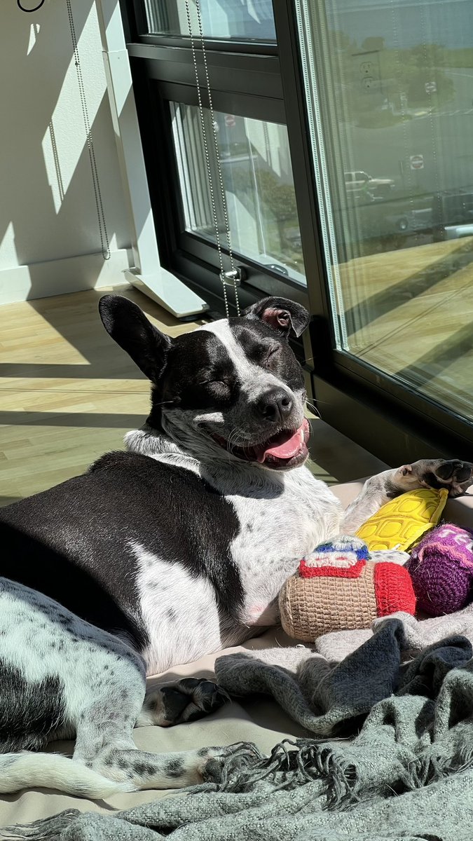 courtney ✺ tweet media