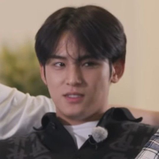 Mingyu tweet media