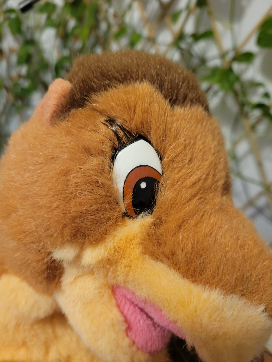 "Oh we can't stop now! What if Great Valley is just over these rocks?" 
Littlefoot is a 1988 JC Penny Gund plush. He has been given a spa day, and has had a portion of his eyes repainted. He is now up for adoption on our site! 🌟
