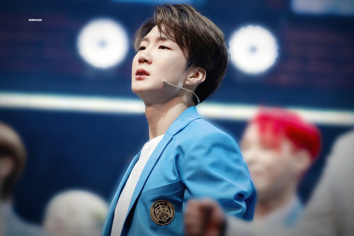 sᴇʀᴇɴᴀᴅᴇ✨ tweet media