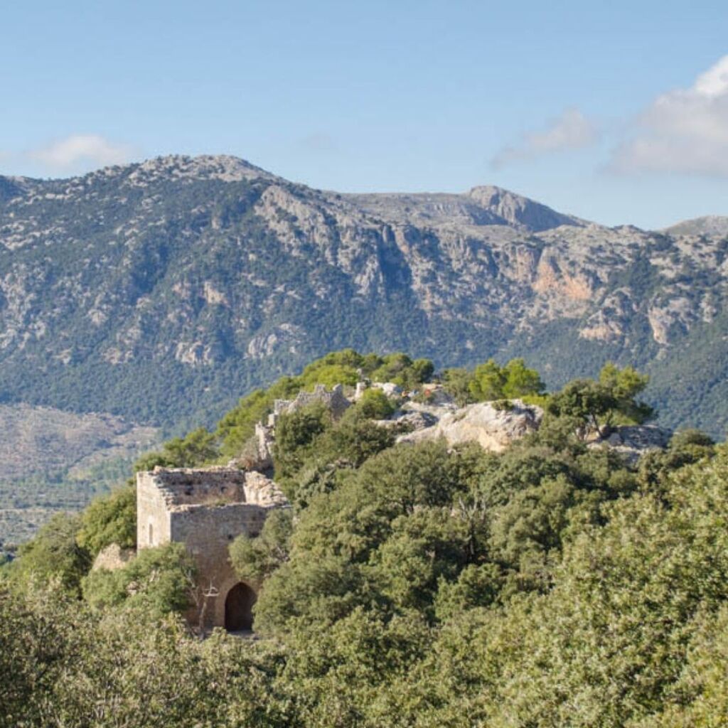 Das Castell d’Alaró gilt als uneinnehmbar. Jede Eroberung der Burg in der Vergangenheit Mallorcas war stets nur nach sehr langer Belagerung möglich, nachdem den Burgbewohnern die Lebensgrundlagen ausgegangen waren. Die längste Belagerung soll neun Jahre gedauert haben.

Als …