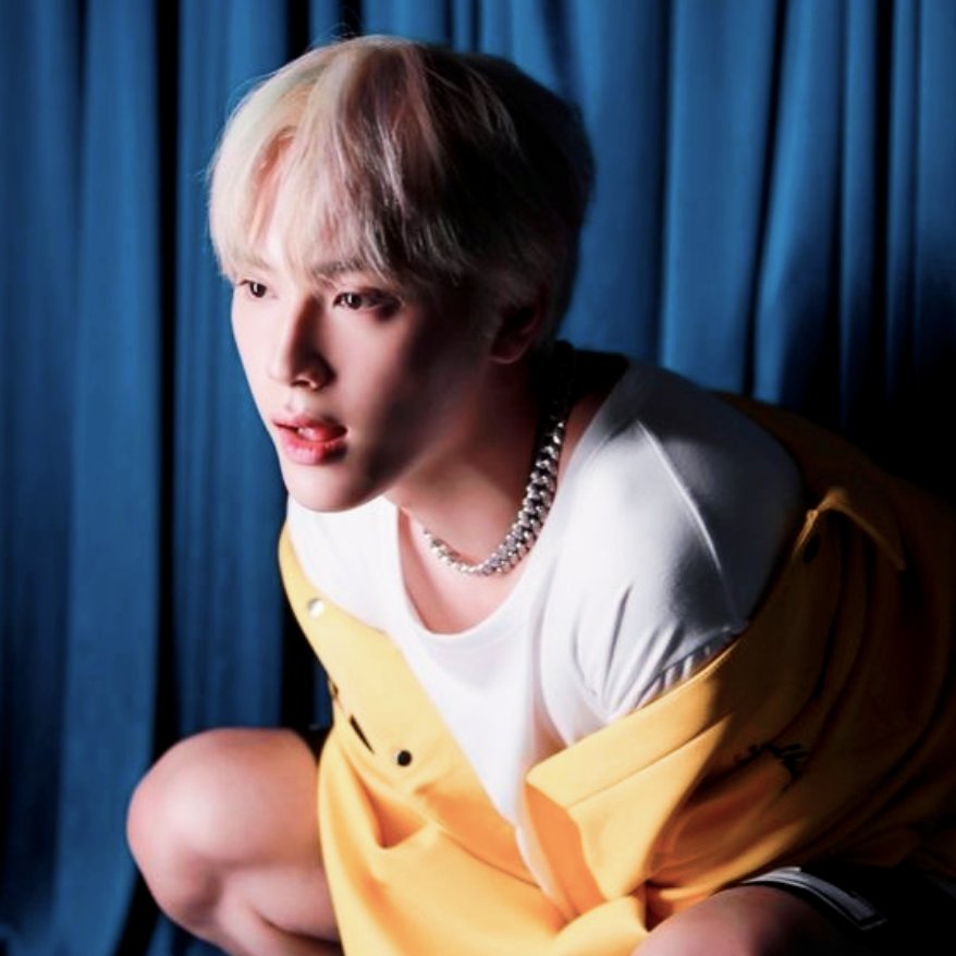 On Twitter i Will Be Your Best Pet on-twitter-i-will-be-your-best-pet