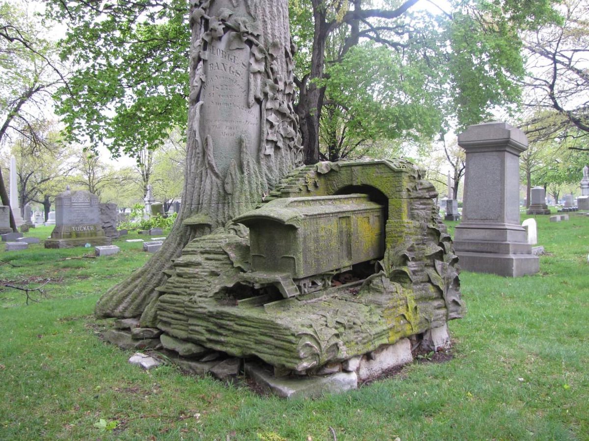 ThanatosArchive's tweet photo. The unique grave of George S. Bangs in Rosehill Cemetery, Illinois. Bangs invented the "Fast Mail" railroad car. He died in 1877 at only 51 years old.. the broken tree is symbolic of a life cut short or a life of unfulfilled promise https://t.co/pOFxFAig93