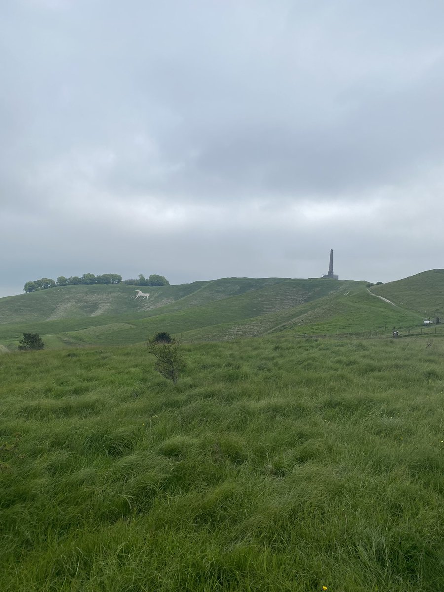 BathHewett's tweet image. Great day out with the Marlborough Downs Challenge. Amazing views, fantastic crew and topped off with a lovely hand thrown mug. #gratefulrunner #runlocal #lovewhereyoulive