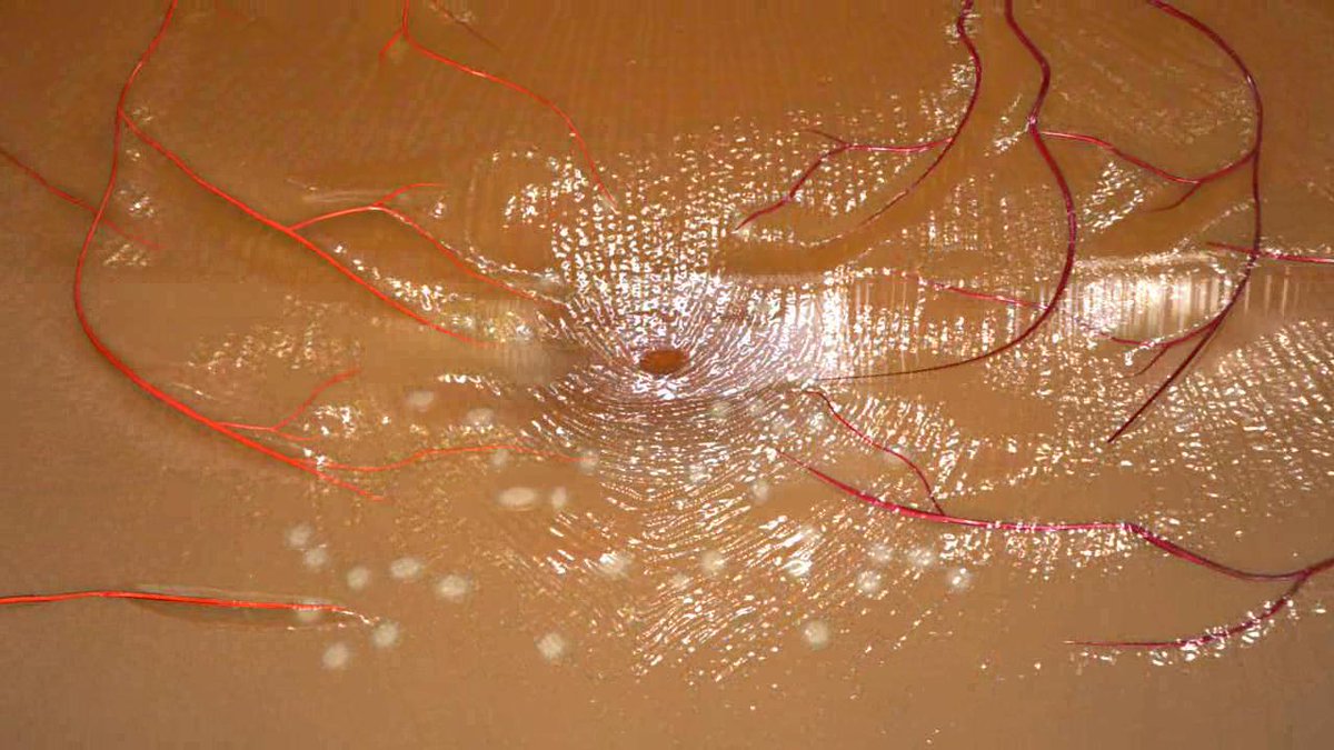 ow.ly/zxv7104GtGi ow.ly/4xy0104GPqn Eye-Opening Drug Discovery May Help Treat Age-Related Macular ... - Neuroscience News