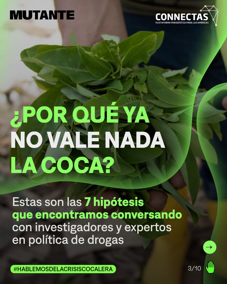 ¿De dónde viene la crisis de la economía cocalera en Colombia? 

A partir de nuestras conversaciones con distintas voces expertas en política de drogas, te compartimos 7 posibles causas:

#HablemosDeLaCrisisCocalera
