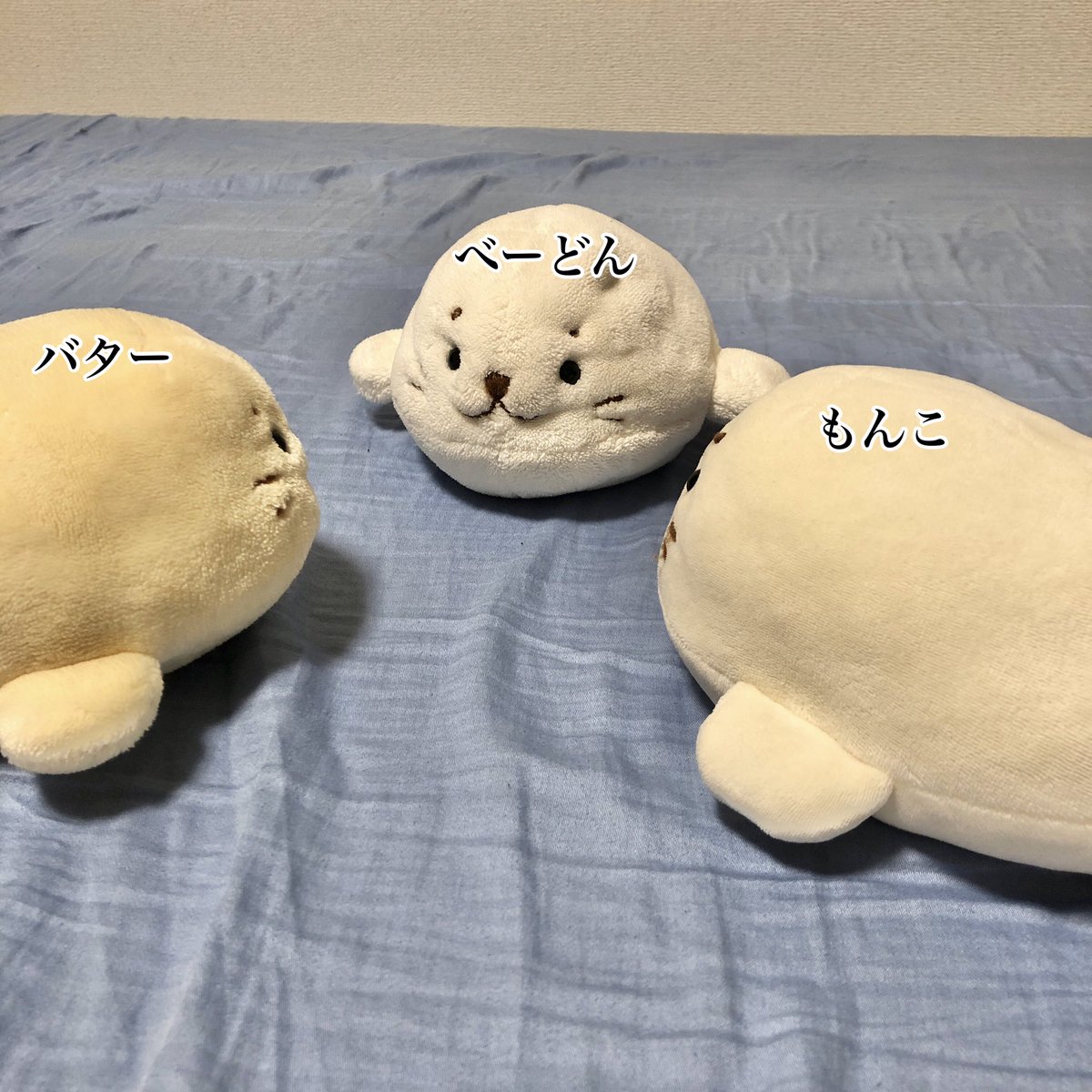 のんぽち tweet media