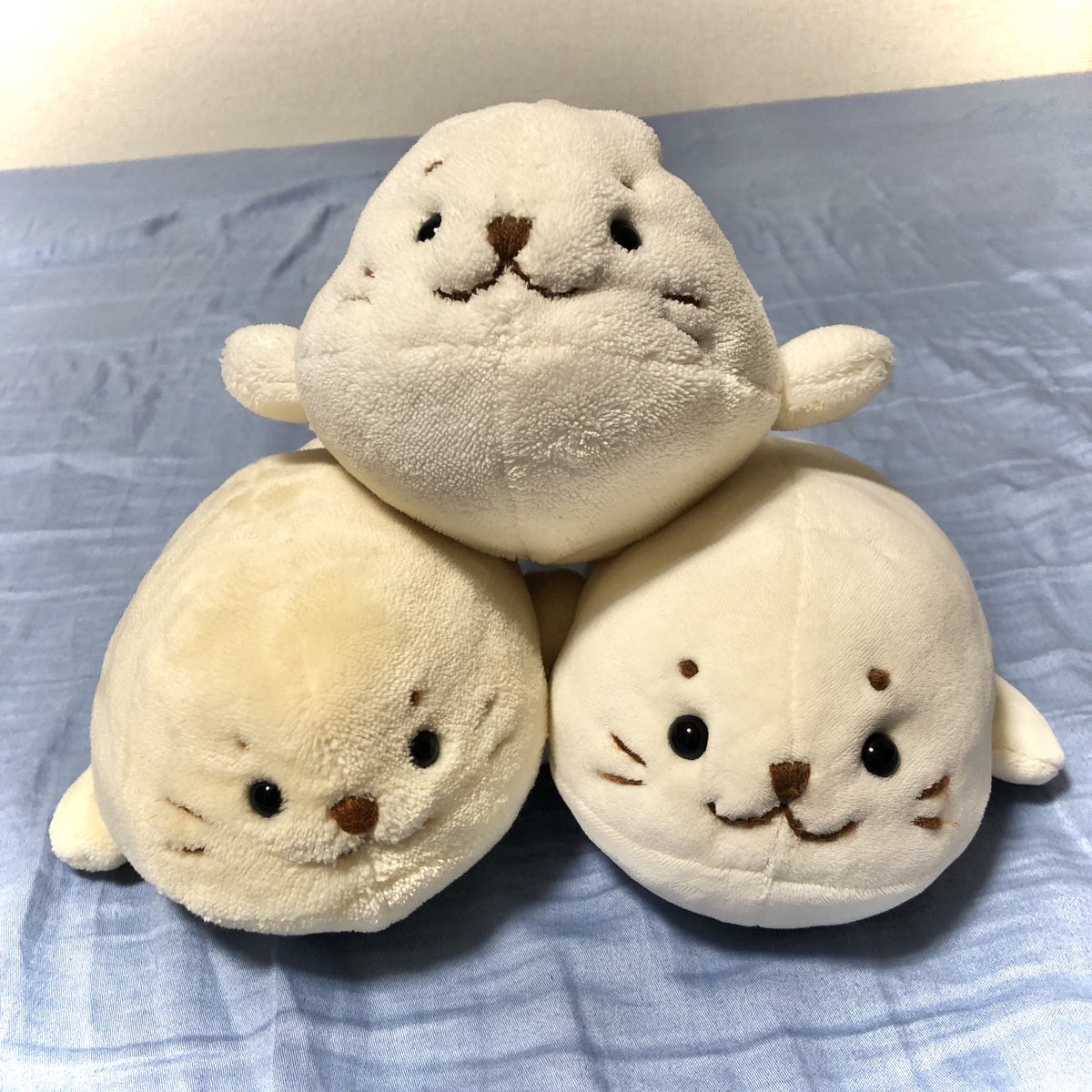 のんぽち tweet media