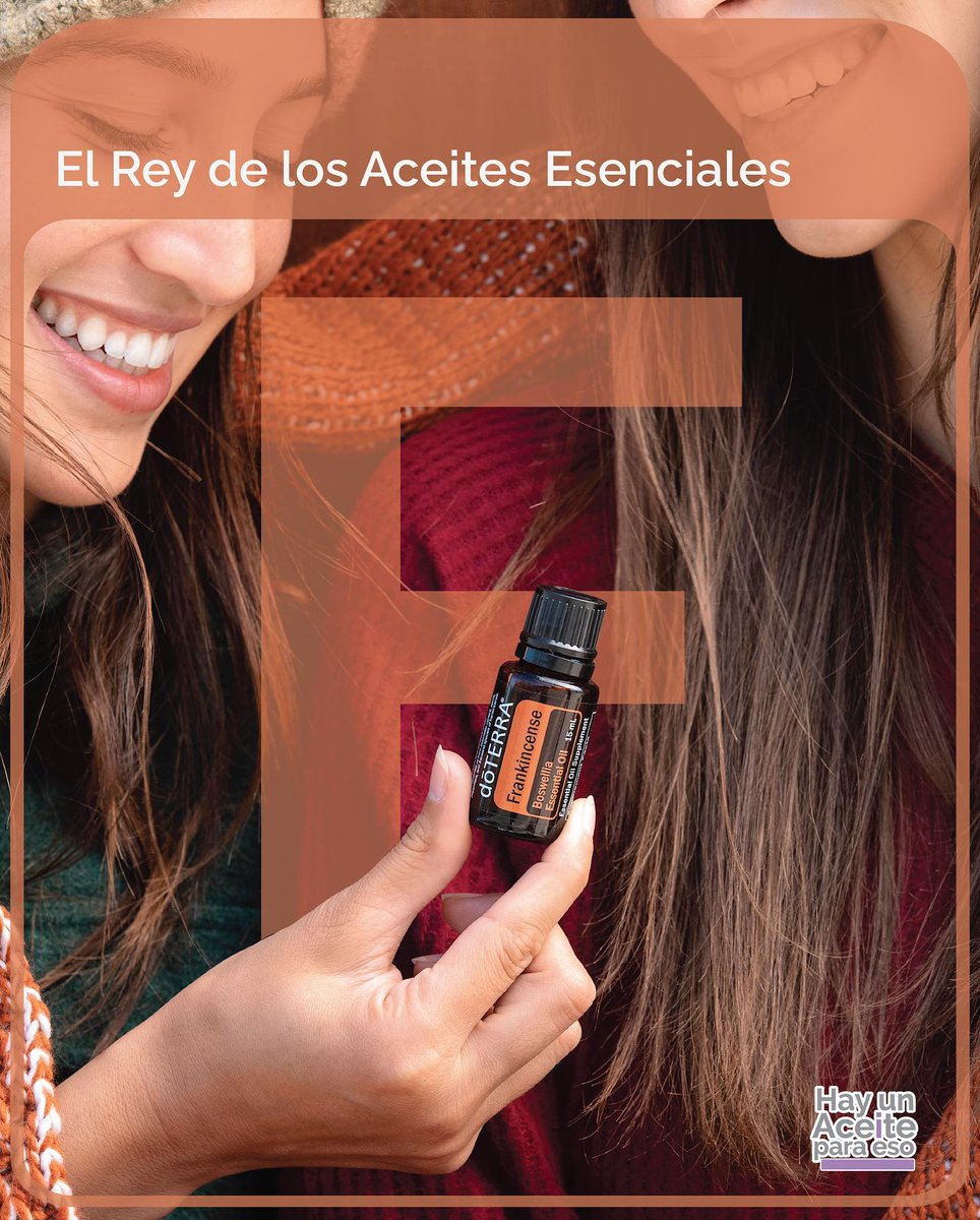 essentialpanama tweet media