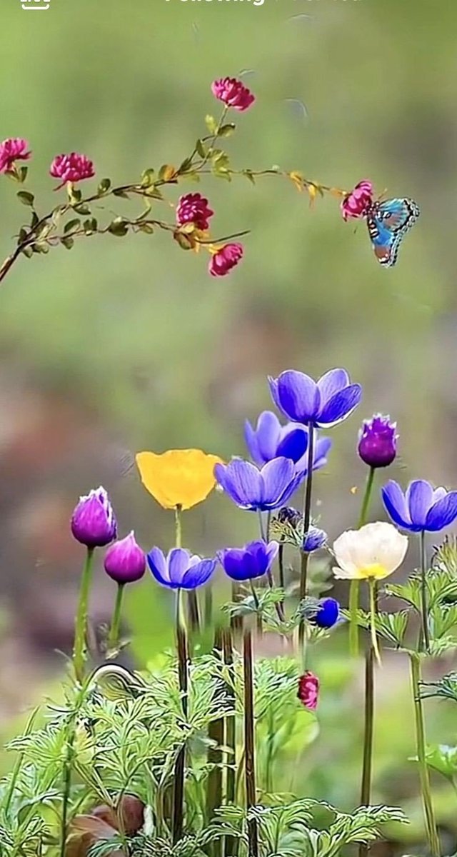 Believe (@chimae_all) on Twitter photo 