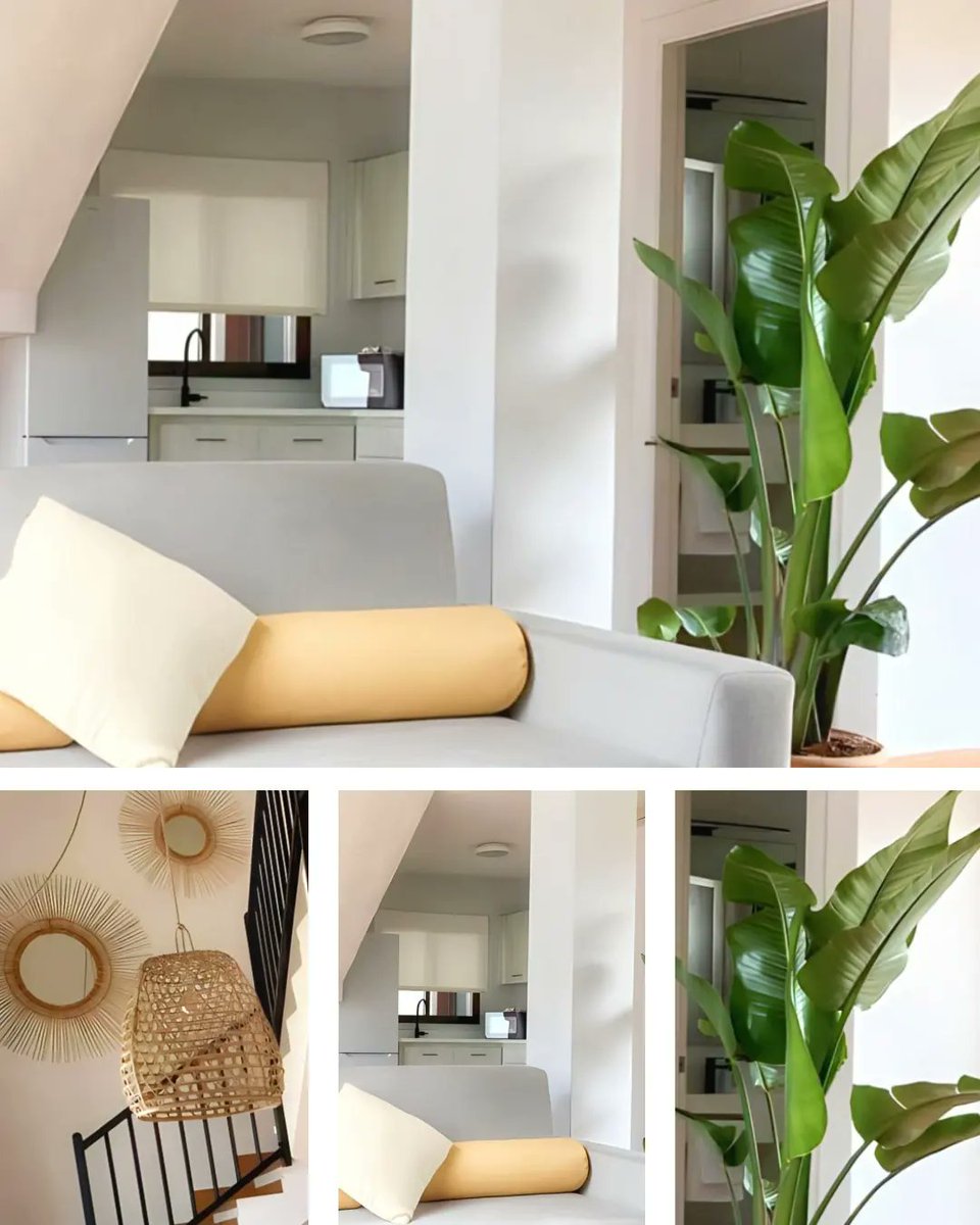 ⭑Este verano te esperamos en nuestros apartamentos totalmente equipados con todo lo que necesites para disfrutar de ensueño en la isla de tu verano. 🤩🔆🏝️
⭑Descubre la isla de la mano de Nuramar Resort 🤗🫰
⸻
💌 Info &amp; Reservas  ↴
💻 nuramar.com 
#nuramarresort