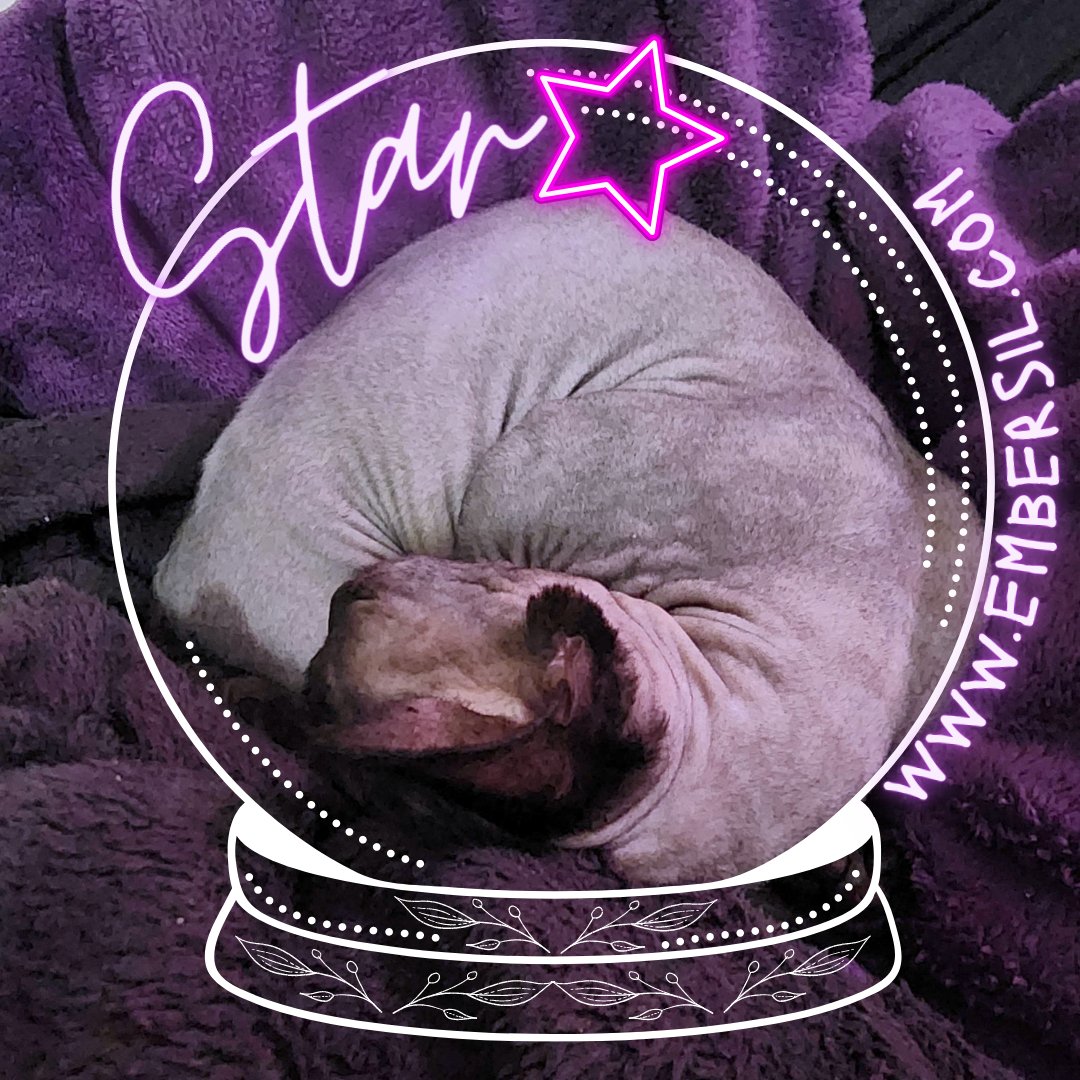 EmbersilTB's tweet image. 💎 Did you know that sphinx cats and crystals make great companions? These mystical felines are drawn to the energy of crystals just like we are. Share a photo of your favorite crystal with your furry friend below! Let's celebrate their magical connection. #sphinxcat #Caturday