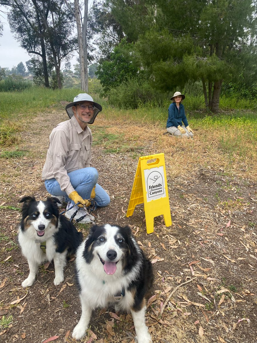 The Friends of Tierrasanta’s Canyons out on their monthly trail clearing of invasive species, like those nasty thistles that stick to your doggies paws. Thank you, FOTC!
#tierrasanta