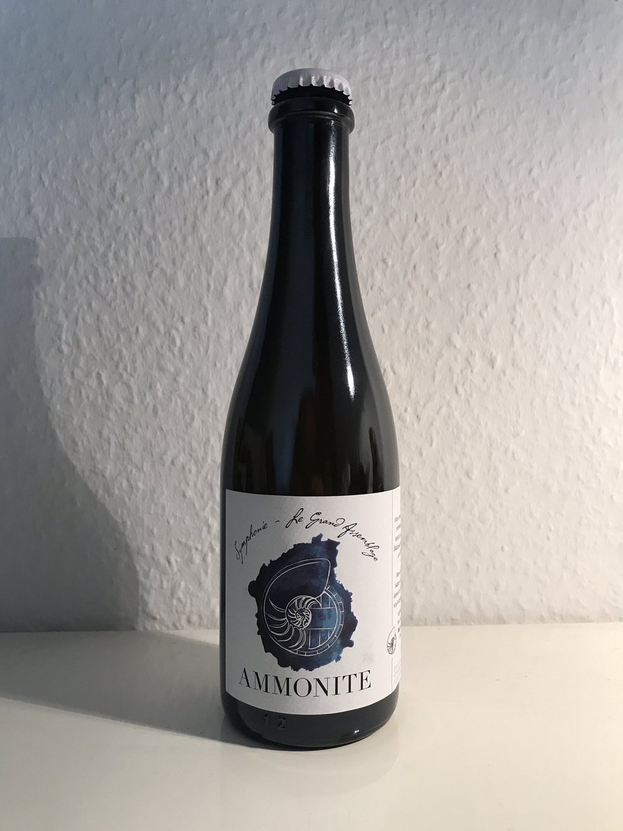 Ma première Ammonite !