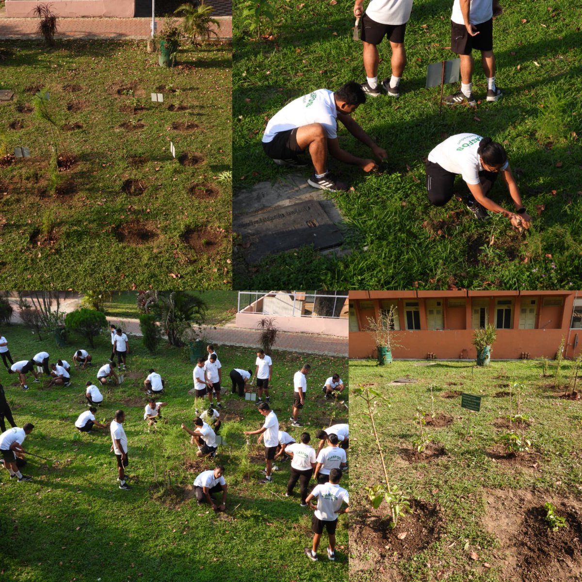 casfosddn's tweet photo. As a part of the ongoing action plan for Mission LiFE, the Officer Trainees of CASFOS, Dehradun,did weeding, cleaning and  tending of the medicinal plants which are nurtured in the 'Garden of Life'  inside this campus.The result was overwhelming!
#missionlife
#chooselife https://t.co/X46iKgYnSx