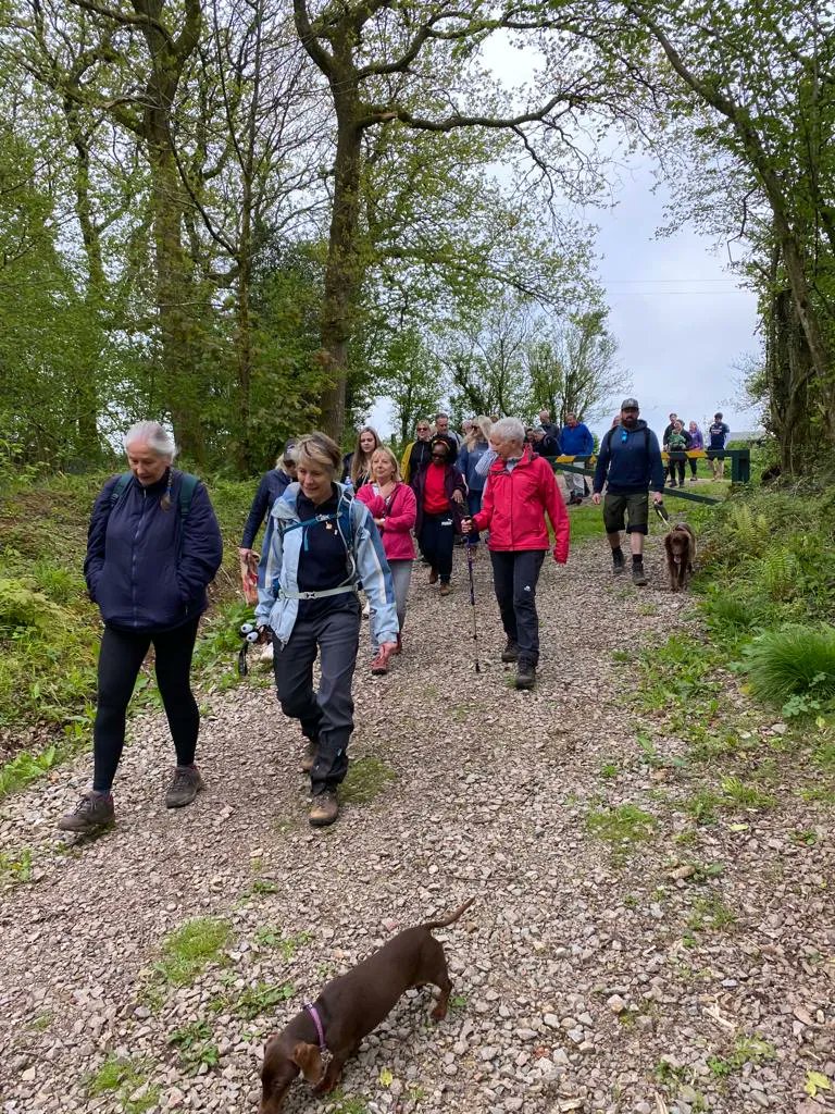A Big thank you to everyone who came todays Bluebell Walk. Thank you for your support. If you'd to support Newport and Gwent Samaritans text BLUEBELL to 70460 to make a £5 donation
