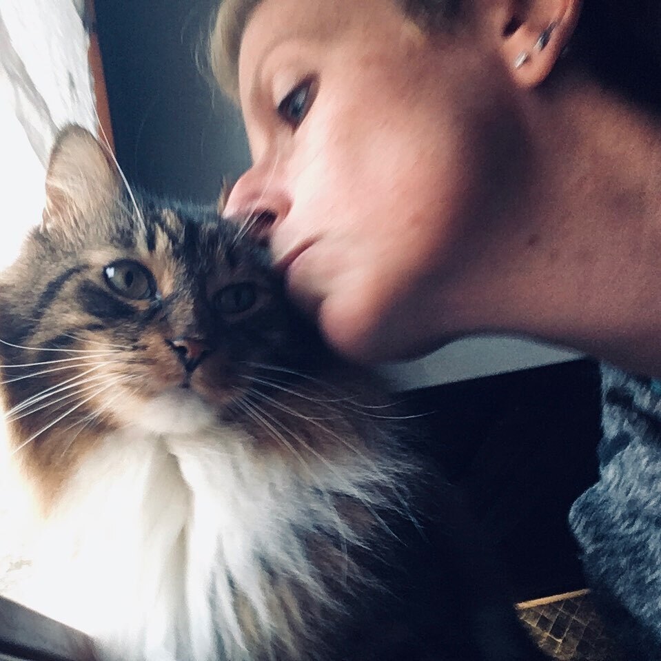 LPCNC's tweet photo. JUST THE 2 OF US 
❣️🐾🇳🇴 (but not only the 2 of us 😉🐾) 

#cats_of_instagram #cat #cats #norwegianforestcat #saturdayvibes #animallovers https://t.co/UvUZrlBghi https://t.co/T17dMZYjuf