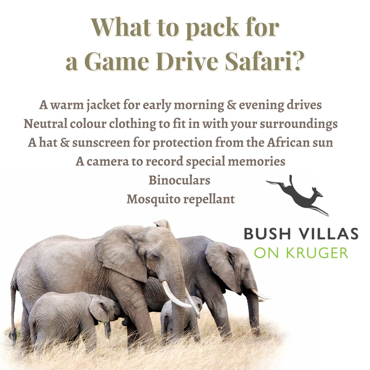 Time for a Game Drive Safari in The Kruger National Park! Here are some essentials that you should not forget. 

#safari #krugernationalpark #getaway #krugerpark #nature #wildlife #bushvillasonkruger