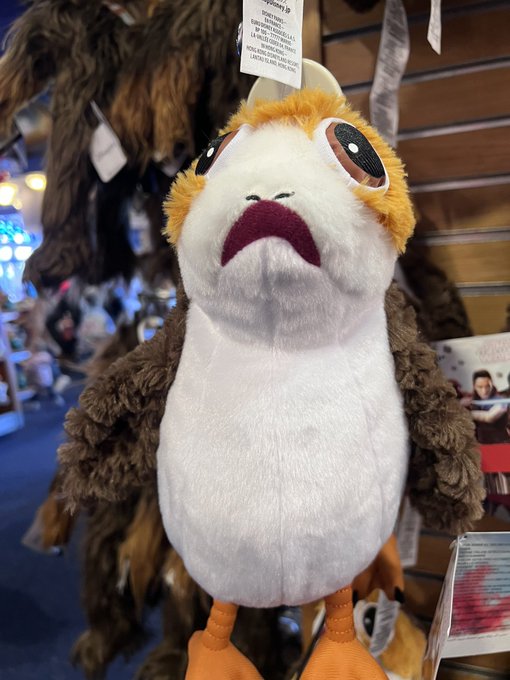 I went to Disneyland and saw this little baby. I didn&rsquo;t buy it 😭 https://t.co/zyHrzi1i1Z