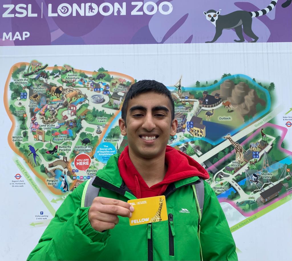 Kabir Kaul tweet media