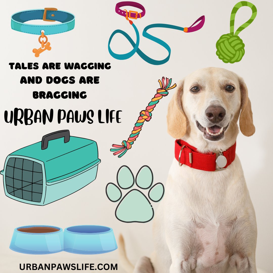 New online Pet store!