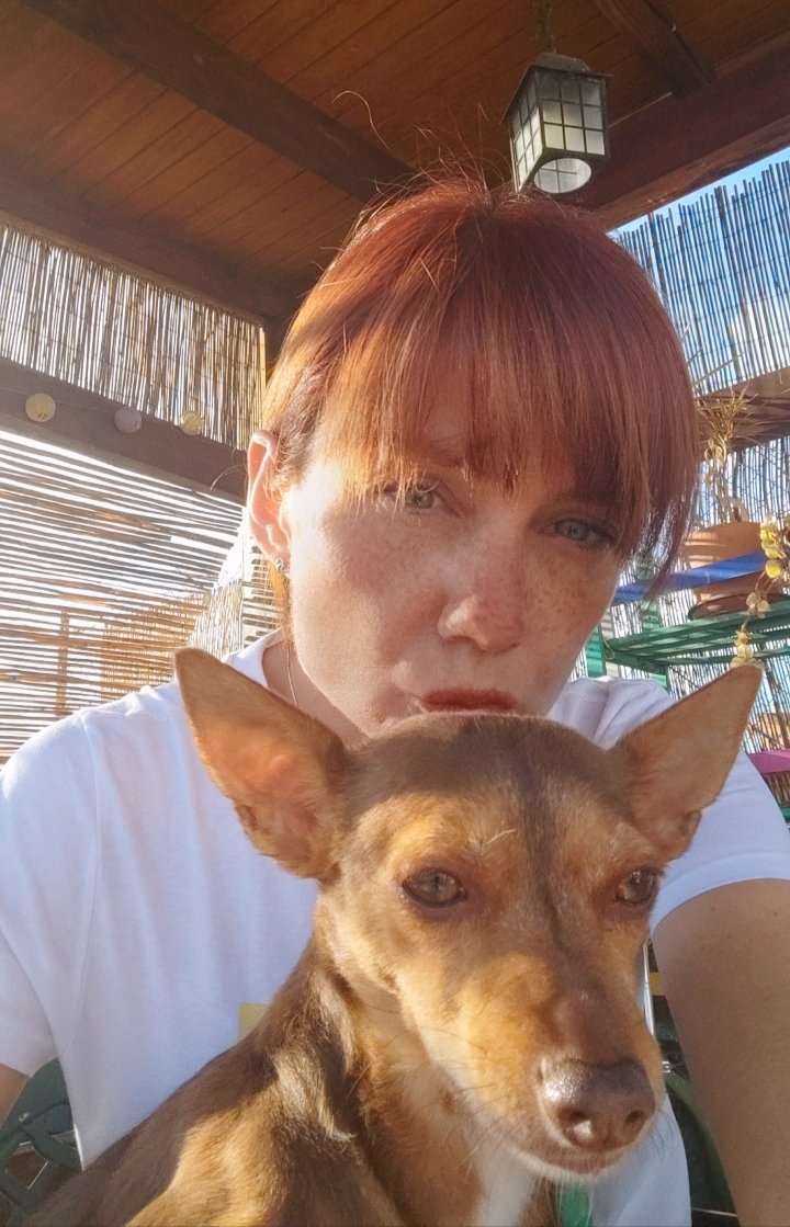 PaulitaGR_79's tweet photo. Doña mimos 👩🏻🎨🤎🐶 #Libby #AdoptaNoCompres #adoptamestizos #podenco #mascotas #lamasmimada https://t.co/mtJjSvhSqZ