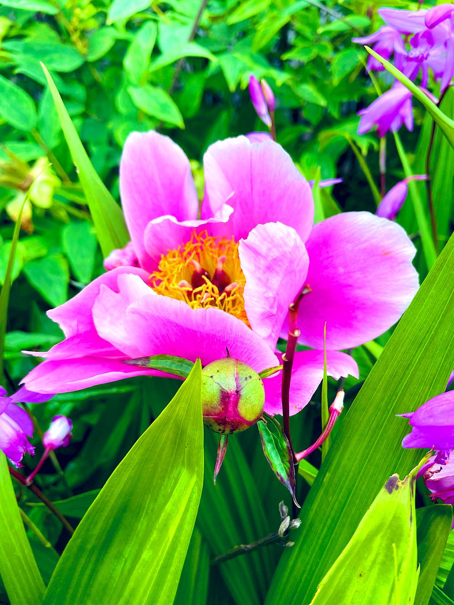 2023年5月14日(日)
おはようございます

いつも、いいね❤、RT ♻、コメント💬、フォロー等
ありがとうございます🤗

皆様のお力添えと支えで成り立っております🙇🏻‍♀️

にっこりいこう日曜日
💫🤗🌟 😊✨🌸🍃✨😆🌟☺️💫

にっこり笑顔でいられますように☺️