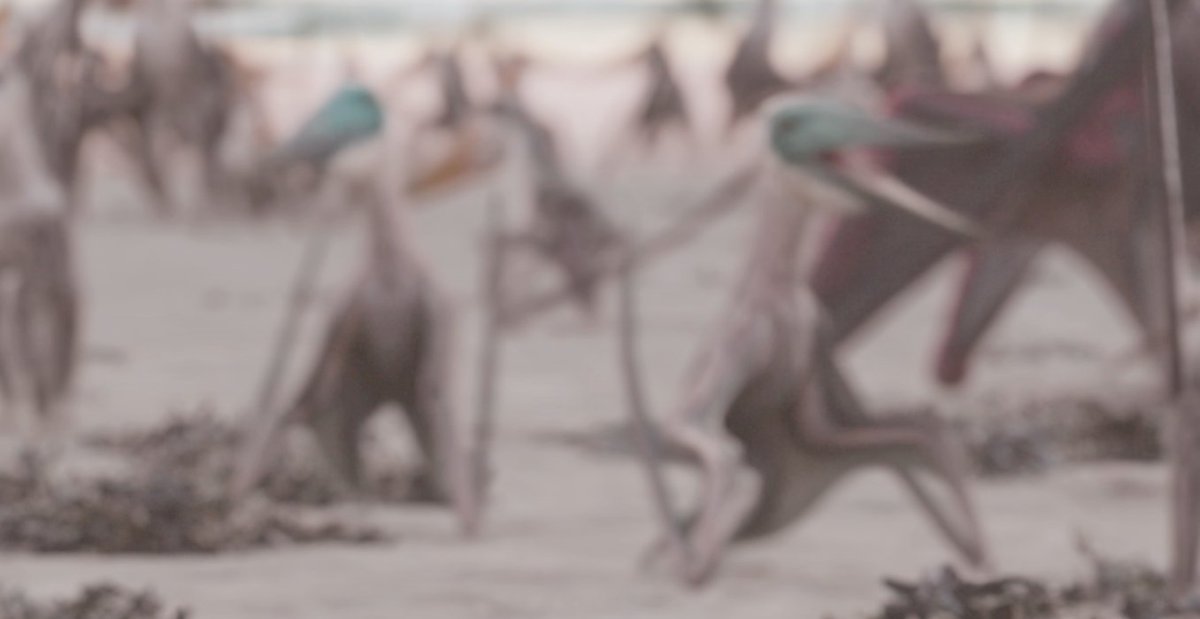 I must have seen this scene a billion times by now, but i somehow just noticed the blue-headed pterosaurs
I assume they're adult Alcione

#PrehistoricPlanet