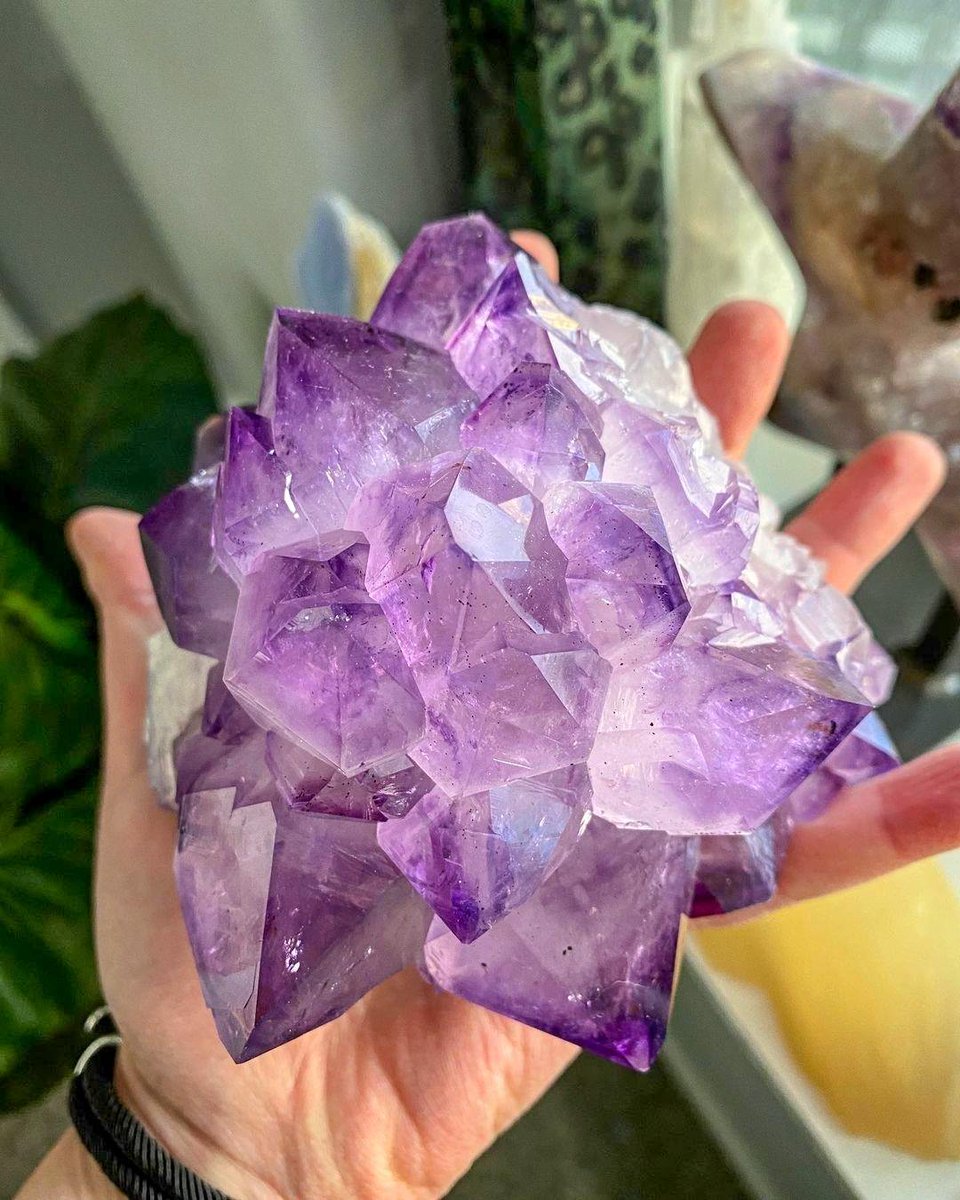 GeologyTime's tweet photo. This is Stunning Amethyst Stalactite flowers From Uruguay 📷

Photo  📷 Mystico Crystals

 #minerals #crystals #gems https://t.co/tJrcNmqU3s