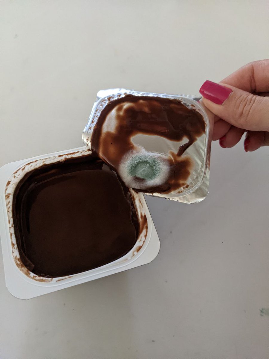 |carol⟩ 🔶 tweet media