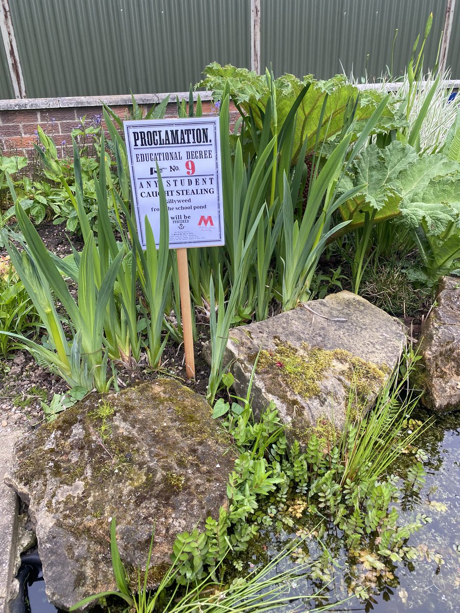 TrentBio's tweet photo. Lovely day pond dipping with Year 5 on their discovery day! @TrentCollege https://t.co/mmdgZTzcKD