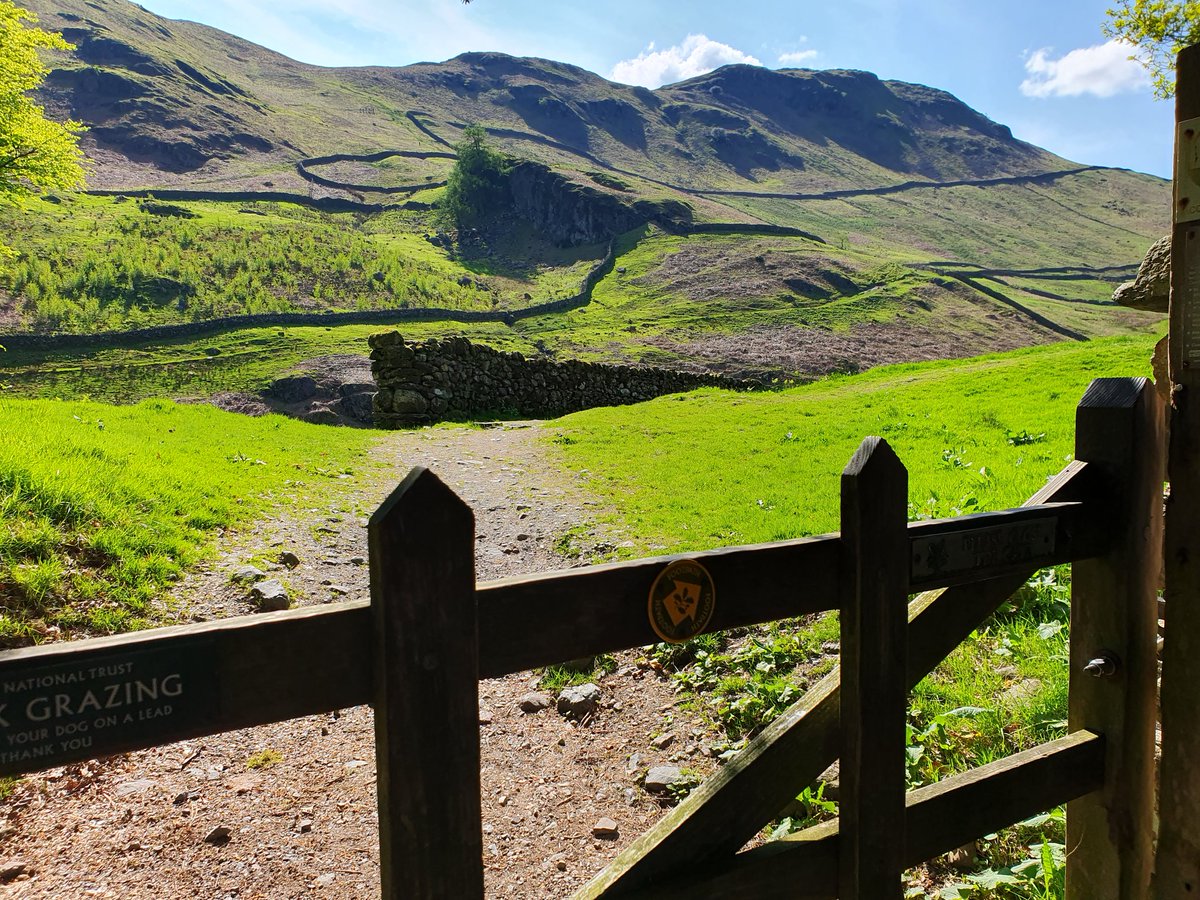 SheilaG17662835's tweet photo. Today's #wainwrightwalk saw us reach 100 of 214 since July 2021 not bad for us #over65s. We walked up the beautiful Greenburn Valley from #Grasmere and climbed Calf Crag and Gibson Knott.#sunshine and #Bluesky all day. #Cumbria #LakeDistrict @images_lake @FellPics https://t.co/J5GCC9gMJm